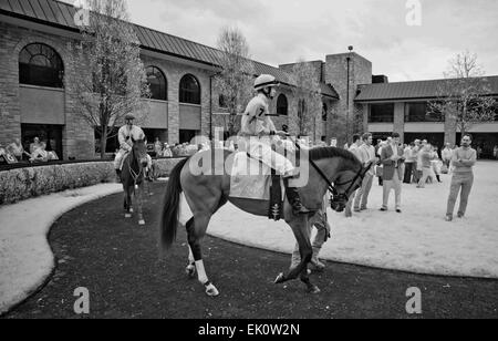 Lexington, KY, USA. 3. April 2015. April 3, 2015:Scenes aus rund um die Strecke am Tag der Eröffnung für das Frühjahr treffen sich auf Bluegrass Stakes Wochenende bei Keeneland Race Course in Lexington, Kentucky. (Hinweis: dieses Bild wurde mit einer umgebauten Infrarotsensor fotografiert.) Scott Serio/CSM/Alamy Live-Nachrichten Stockfoto