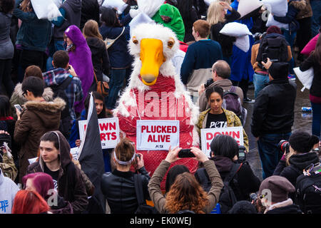 London, UK. 4. April 2015. Hunderte von Menschen nehmen [Teil in einem riesigen Pillowfight auf dem Trafalgar Square, da die jährlichen Welttag der Pillowfight in Gang kommt. Bildnachweis: Paul Davey/Alamy Live-Nachrichten Stockfoto