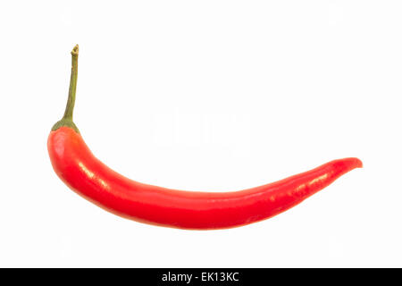 Nahaufnahme einer ganzen roten Chili (Capsicum Annuum) isoliert auf weißem Hintergrund Stockfoto