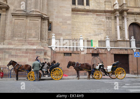 Pferdekutschenfahrten können mit Touristen vor der Kathedrale von Malaga, Andalusien, gemietet werden. Spanien. Stockfoto