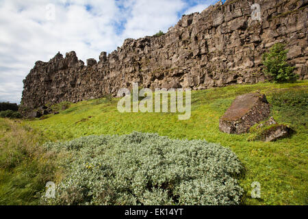 Cliff von Lava Felsformationen im Nationalpark Thingvellir, Island Stockfoto