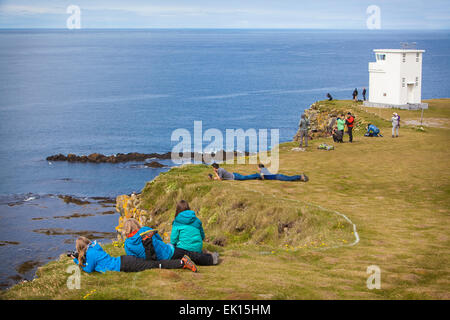 Menschen auf den Latrabjarg Klippen in der Westfjorde Islands Puffin Vögel zu betrachten. Stockfoto