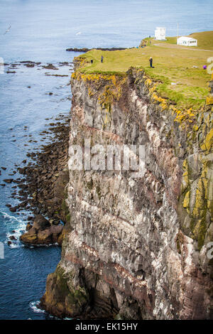 Die Latrabjarg Klippen in die Westfjorde Island, wo die Papageientaucher Vögel nisten. Stockfoto