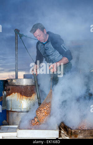 Southport, Merseyside, 4. April 2015. John rimmer ein Lkw - Boot Shrimper kochen Garnelen aus seinen früheren fangen, sie sind dann, bevor er an den Großhändler & Markt gesendet werden geschält. Southport hat immer eine Geschichte der Fischerei, einschließlich der Fang von Garnelen, die in Southport und nahegelegenen Bezirken seit Jahrhunderten durchgeführt wurde. Referenzen für Sie kann so weit zurück, wie 1113 für die Fischerei in der Pfarrei von Norden Meols gefunden werden. Pferdewagen oder mechanische Fahrzeuge Schleppnetzen hinter Boote oder Traktoren, wie die hanking" bekannt. Stockfoto