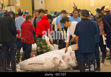 Thunfisch-Auktion im Tsukiji-Markt, Tokyo, Japan Stockfoto