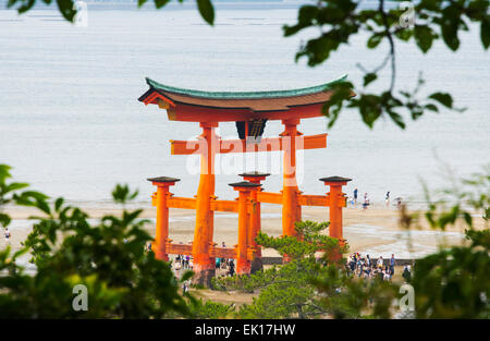 Torii-Tor des Itsukushima-Jinja Schrein, Miyajima, Japan Stockfoto