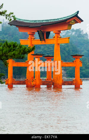 Torii Tor des Itsukushima-Schreins im Morgennebel, Miyajima, Japan Stockfoto