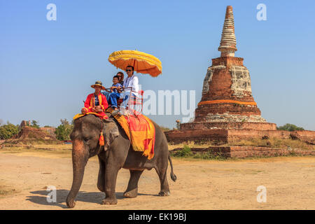 Touristen auf Elefanten Reiten in Ayutthaya, Thailand Stockfoto