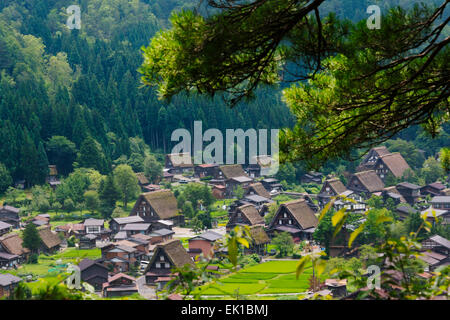 Gassho-Zukuri Häuser und Ackerland in den Berg Shirakawa-Go, Gifu Präfektur, Japan Stockfoto