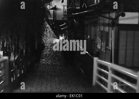 Traditional-Straße in der Nacht, Gujo Hachiman, Gifu Präfektur, Japan Stockfoto