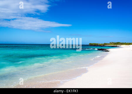 Unberührte weiße Bacha Strand auf Santa Cruz auf den Galapagos Inseln in Ecuador Stockfoto