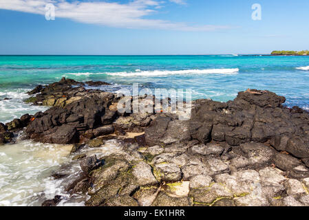 Blick auf türkis-blauen Pazifik auf der Insel Santa Cruz auf den Galapagos Inseln in Ecuador Stockfoto