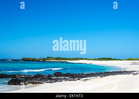 Bacha Beach, einem schönen weißen Sandstrand auf der Insel Santa Cruz auf den Galapagos Inseln in Ecuador Stockfoto