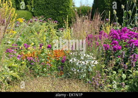 Great Dixter Pflanzung Kombination - Verbascum Heleniums, Eryngium, Geranie, Karde, Karde, Calamagrostis, Stockfoto