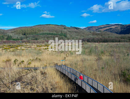 CORS Dyfi, ein Naturschutzgebiet von laufen Montgomery Wildlife Trust, in der Nähe von Machynlleth, Powys, North Wales UK Stockfoto