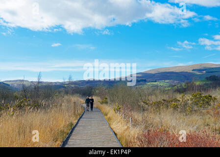 CORS Dyfi, ein Naturschutzgebiet von laufen Montgomery Wildlife Trust, in der Nähe von Machynlleth, Powys, North Wales UK Stockfoto