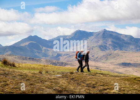 Menschen Wanderer zu Fuß auf dem Weg von moel Siabod zu Capel Curig mit Blick auf den entfernten Mt Snowdon Horseshoe in Snowdonia (Eryri) Wales UK Großbritannien Stockfoto