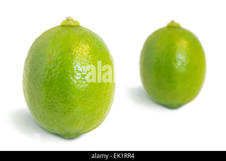 Nahaufnahme von zwei ganz reif Lime Obst, isoliert auf weißem Hintergrund. Der andere ist etwas weiter zurück und verschwommen. Stockfoto