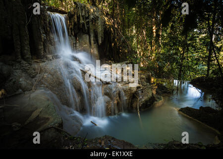 Tropischer Wasserfall Stockfoto