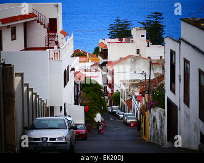 Drachenbaum Drago de Icod in Icod de Los Vinos-Teneriffa-Kanarische Inseln-Spanien Stockfoto