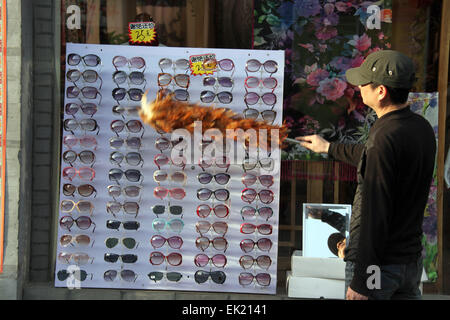 Peking, China. 3. April 2012. Eine Straße Händler entstaubt die Sonnenbrille in seinem Stall an einer Einkaufsstraße im Beihai-Park im historischen Bezirk von Peking, China, 3. April 2012. Beihai-Park gilt als einen typischen chinesischen Garten und befindet sich nordwestlich des Kaiserpalastes. Foto: Jens Büttner/Dpa - NO-Draht-SERVICE-/ Dpa/Alamy Live News Stockfoto