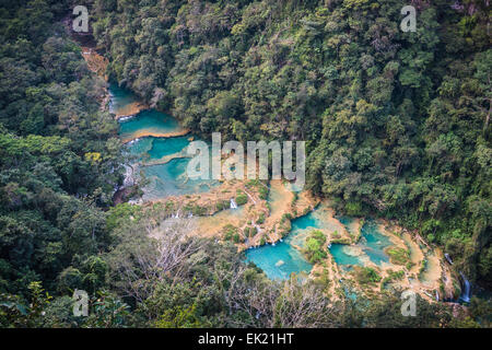 Semuc Champay einer natürlichen Wasserpark in Guatemala Stockfoto