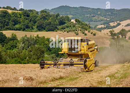 Modernen Mähdreschers bei der Arbeit an Hängen des hügeligen Feldern Stockfoto