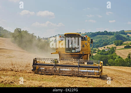 Modernen Mähdreschers bei der Arbeit an Hängen des hügeligen Feldern Stockfoto