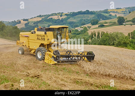 Modernen Mähdreschers bei der Arbeit an Hängen des hügeligen Feldern Stockfoto