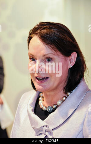 Belfast, Nordirland. 12. Dezember 2013 - Colette Fitzgerald, Vertreter der EU Kommission in Nordirland, spricht bei der Eröffnung des neuen £1.82 M Belfast Welcome Centre, ein Informationszentrum für Besucher nach Belfast und Nordirland. Stockfoto