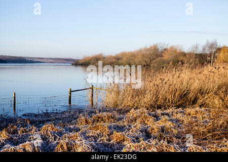 Fairburn Ings RSPB Reservat Yorkshire. Stockfoto