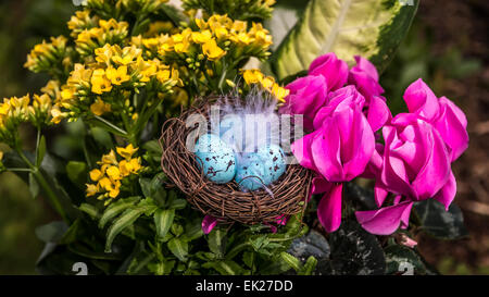 Flachen Fokus auf Ostereier in einem gefiederten Nest, umgeben von einem Blumen-Arrangement. Stockfoto