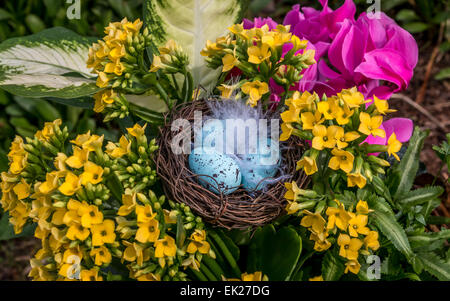 Flachen Fokus auf Ostereier in einem gefiederten Nest, umgeben von einem Blumen-Arrangement. Stockfoto