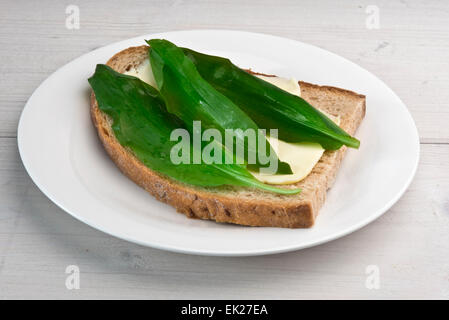 Bärlauch, serviert auf einem Butterbrot. Bärlauch ist auch bekannt als Holz Knoblauch, Bär, Stoffen, Bärlauch und breitblättrigen Knoblauch Stockfoto