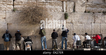 Jüdische Männer beten an der westlichen Wand in Jerusalem (Wailing) Stockfoto