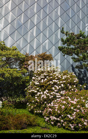 Dekorative Grenze von Sträuchern gegen die Außenwand des Chan Zentrum für darstellende Kunst, Vancouver Stockfoto