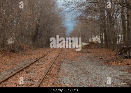 Maine Railroad tracks Stockfoto