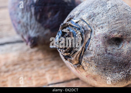 Gekochte Rübe Wurzel Makro auf einem Holzbrett. Rustikaler Stil Stockfoto