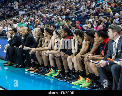 Tampa, FL, USA. 5. April 2015. Marylands Bank beobachten das Spiel in der zweiten Hälfte während der NCAA Frauen Final Four in Amalie Arena in Tampa FL. Credit: Csm/Alamy Live-Nachrichten Stockfoto