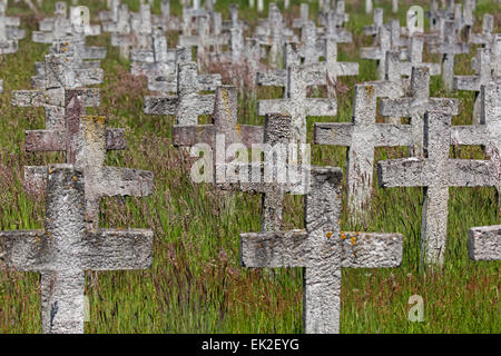 Symbolisch Friedhof der Mitglied des Deutschen Bundestages, Niedersachsen, Deutschland, Europa Stockfoto