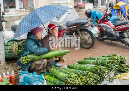 Szene aus einem Regentag auf dem Markt in Sapa. Sapa ist berühmt für seine zerklüftete Landschaft und seiner kulturellen Vielfalt. Stockfoto