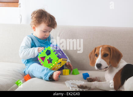 Jungen spielen mit Spielzeug neben seinen Beagle-Hund. Stockfoto