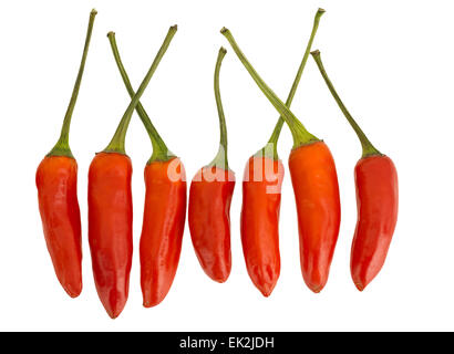 Frische rote scharfe Chilischoten isoliert auf weiss. Stockfoto