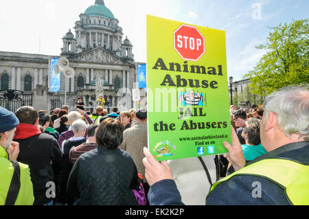 Belfast, Nordirland. 27. April 2014 - versammeln sich Hunderte von Menschen zu einer Kundgebung, die Ende der Tierquälerei und strengere Vorschriften für Täter fordert. Stockfoto