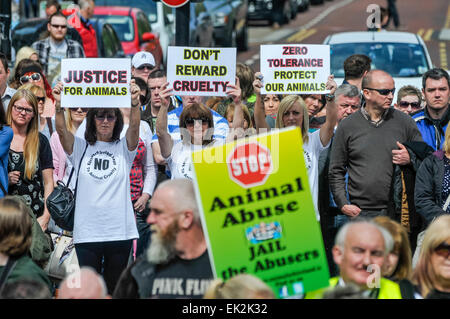 Belfast, Nordirland. 27. April 2014 - versammeln sich Hunderte von Menschen zu einer Kundgebung, die Ende der Tierquälerei und strengere Vorschriften für Täter fordert. Stockfoto