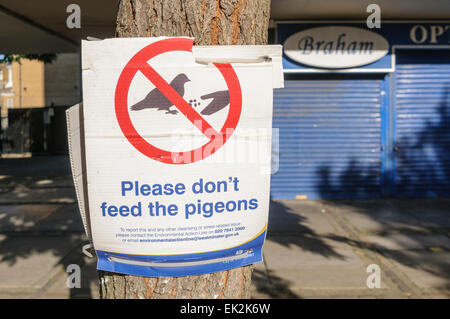 Schild Warnung Menschen nicht, die Tauben zu füttern. Stockfoto