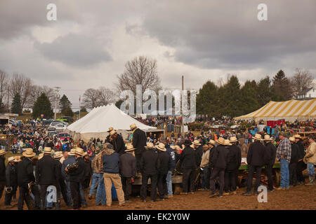 Amish Schlamm, Verkauf, einen riesigen Flohmarkt und Auktion in Wakefield, Pennsylvania, USA Stockfoto