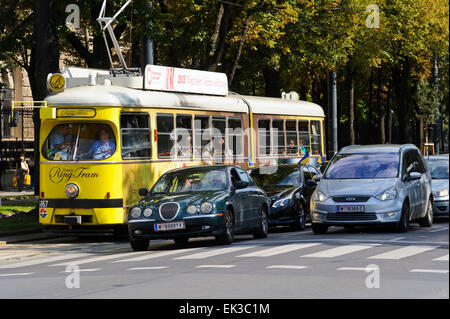 Eine gelbe elektrische Straßenbahn und Autos hielten vor einem Fußgängerüberweg auf der Straße von Wien, Österreich. Stockfoto