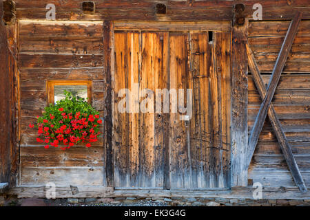 Rustikale Scheunentor und Blumen, Santa Bittermandelaroma, Val di Funes, Trentino-Alto-Adige, Italien Stockfoto