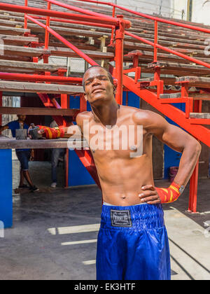 Porträt von einem Afro-Kubanischer Boxer Rafael Trejo Boxing Gym, Havanna Vieja, Kuba. Stockfoto